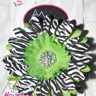Lime Green & Zebra Daisy Flower