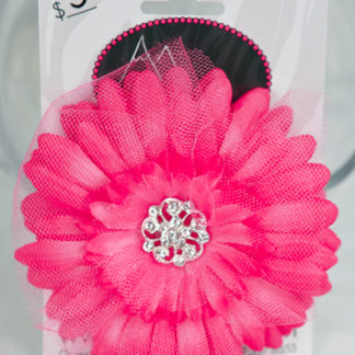 Hot Pink Daisy Flower